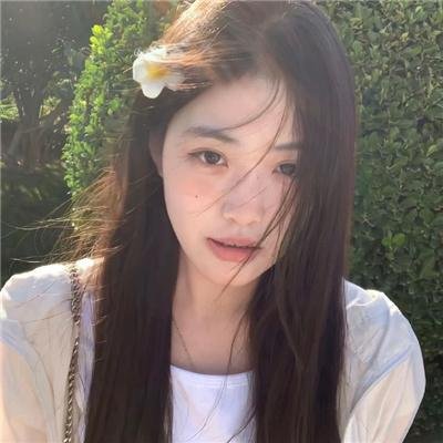 凤凰号